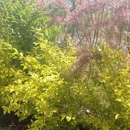 Nad Morzem Apartament
